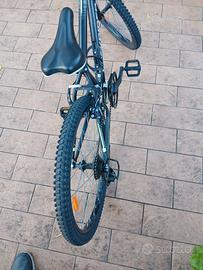 Mountain bike da ragazzo