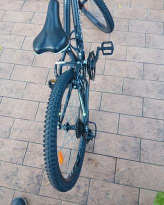 Mountain bike da ragazzo