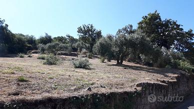 Terreno edificabile con progetto approvato