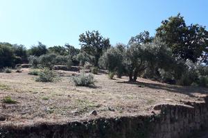 Terreno edificabile con progetto approvato