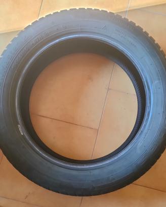 gomme invernali
