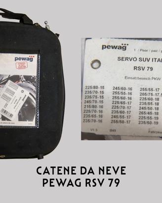 catene da neve