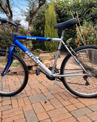Bicicletta