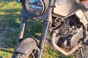 Brixton Felsberg 250 - 2021