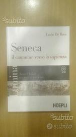 Seneca - il cammino verso la sapienza