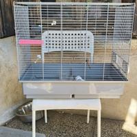 gabbia per volatili