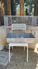 gabbia per volatili