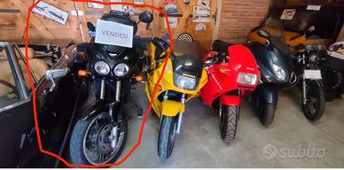 tiger 900 triumph ASI