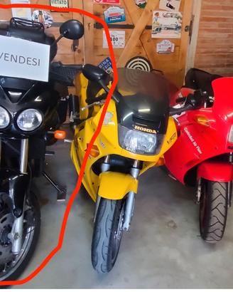 tiger 900 triumph ASI
