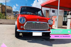 ROVER Mini Mayfair