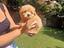 Immagine 1