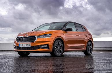 Ricambi usati skoda fabia-sw 2014-2024