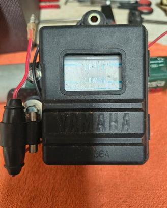 batteria 6 v TT 600 originale 