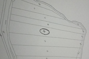 Terreno Pianeggiante