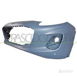 Paraurti e griglia ford puma