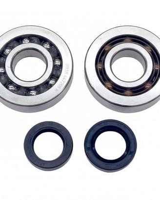 Kit revisione albero motore per Piaggio Sfera Zip 