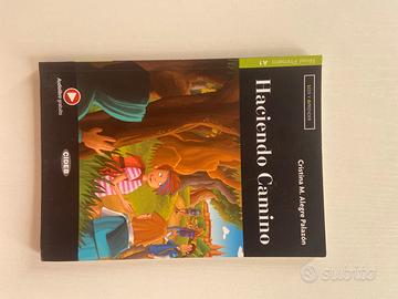 Haciendo camino.Livello a1 con file e audio MP3