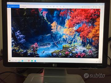 Monitor HP 19 pollici per pc