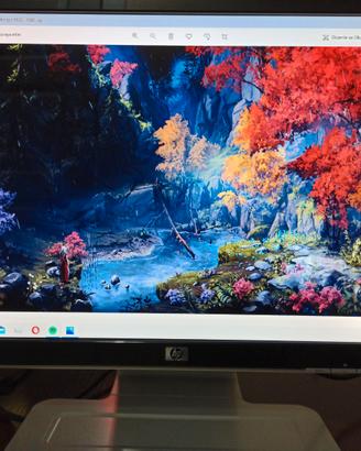 Monitor HP 19 pollici per pc