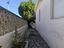 Immagine 12