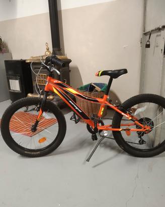 MTB 20"