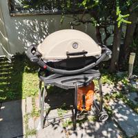 Barbecue Weber Q200 a gas