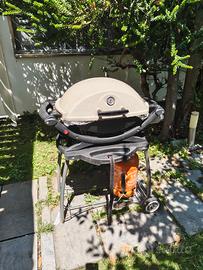 Barbecue Weber Q200 a gas