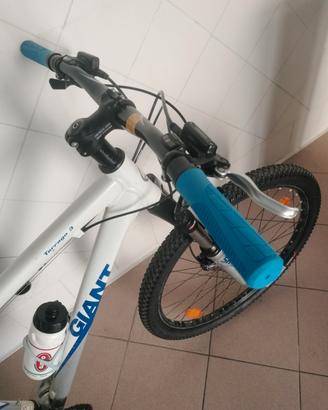 bici MTB Giant