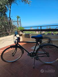 bicicletta passeggio 