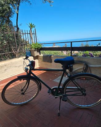 bicicletta passeggio 