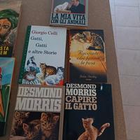 Assortimento libri
