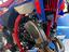 Immagine 7