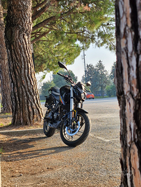 Voge Brivido R125