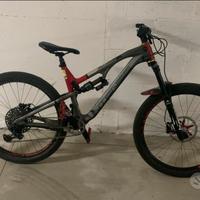 intense recluse 2017 carbonio