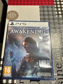 Awakening ps5