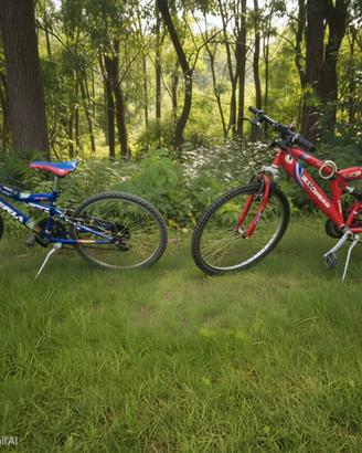 Biciclette taglia 24 e 26