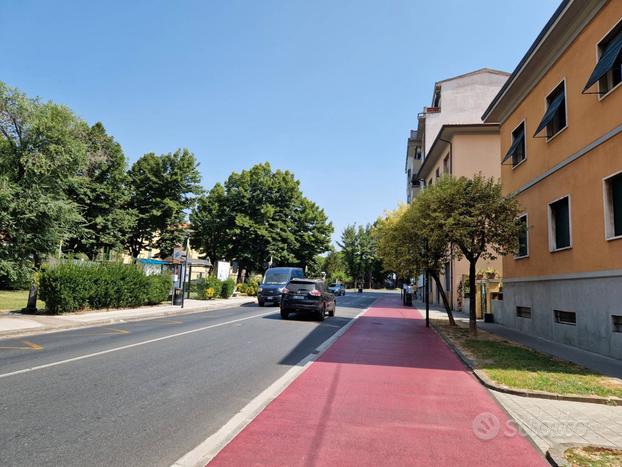 Bella ed ampia stanza Pisa Piazza Giusti