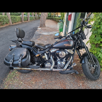 Harley-davidson cross bones