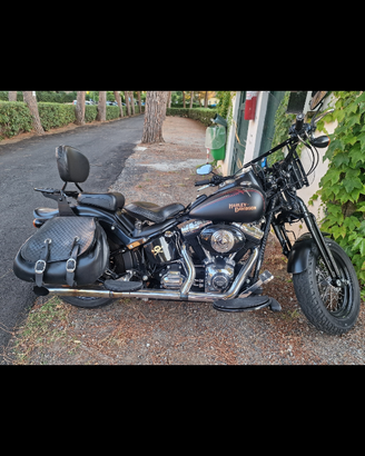 Harley-davidson cross bones