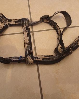 Pettorina per cane medio-piccolo