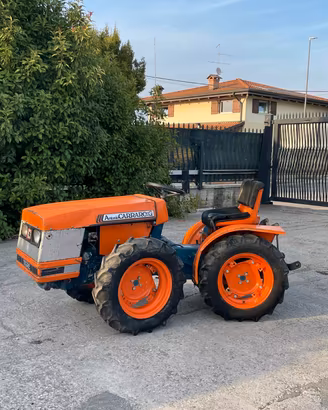 T52 - Trattore Antonio Carraro