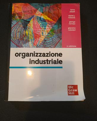 organizzazione industriale