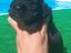 Immagine 5