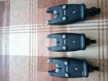 avvisatori carpfishing