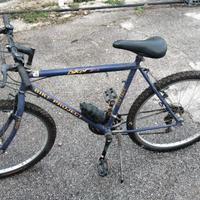 BICICLETTA  PROJECT  CAMBIO SHIMANO