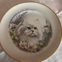 Piatto da collezione con gatto persiano