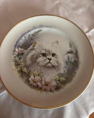 Piatto da collezione con gatto persiano