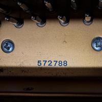 PETROF – p-173 breeze 2001 – – pianoforte a coda