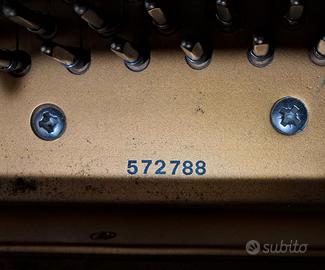 PETROF – p-173 breeze 2001 – – pianoforte a coda