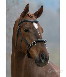 Capezzone da doma Full Nero